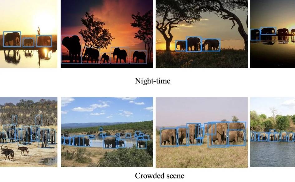 Grâce à l'intelligence artificielle et aux drones, les ingénieurs et écologistes de Tufts aident à suivre et à protéger les éléphants sauvages en Afrique de l'Est